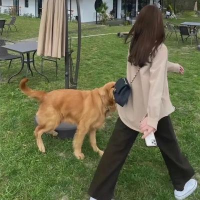 卡通一箩筐第一季